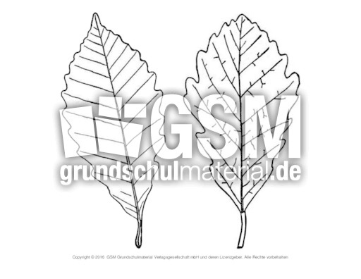 Herbstblatt-zum-Ausschneiden-19.pdf